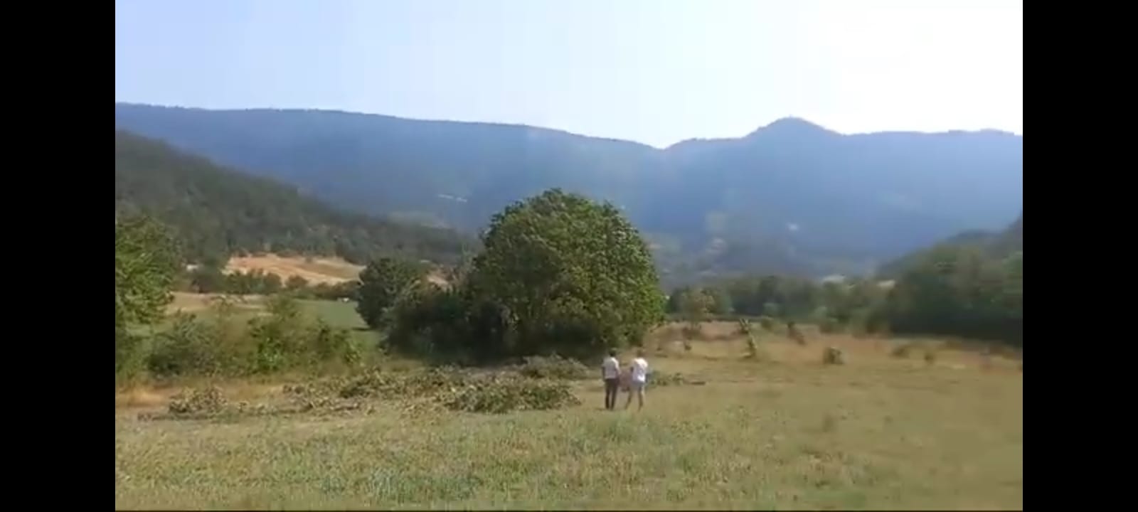 AVDAN MAHALLESİNDE 5030 M² UYGUN FİYATA BOL OKSİJENLİ CAZİP ARSA