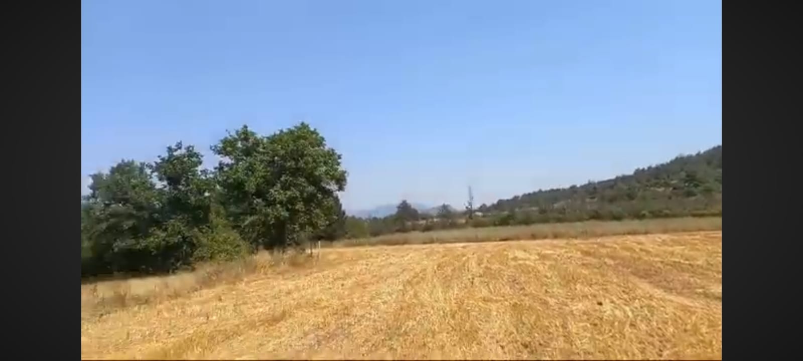 TARAKLI MERKEZE 2 KM MESAFEDE  YUSUFBEY MAHALLESİNDE 6500 m² CİDDİ PRPİM YAPMYA MÜSAİT ARSA